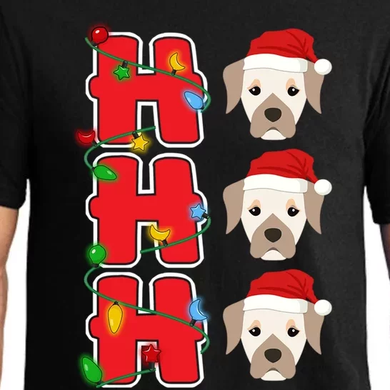 HoHoHo Santa Labrador Retriever Christmas Gift Pajama Set