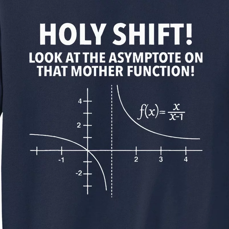 Holy Shift Look At The Asymptote On That Mother Function Tall Sweatshirt