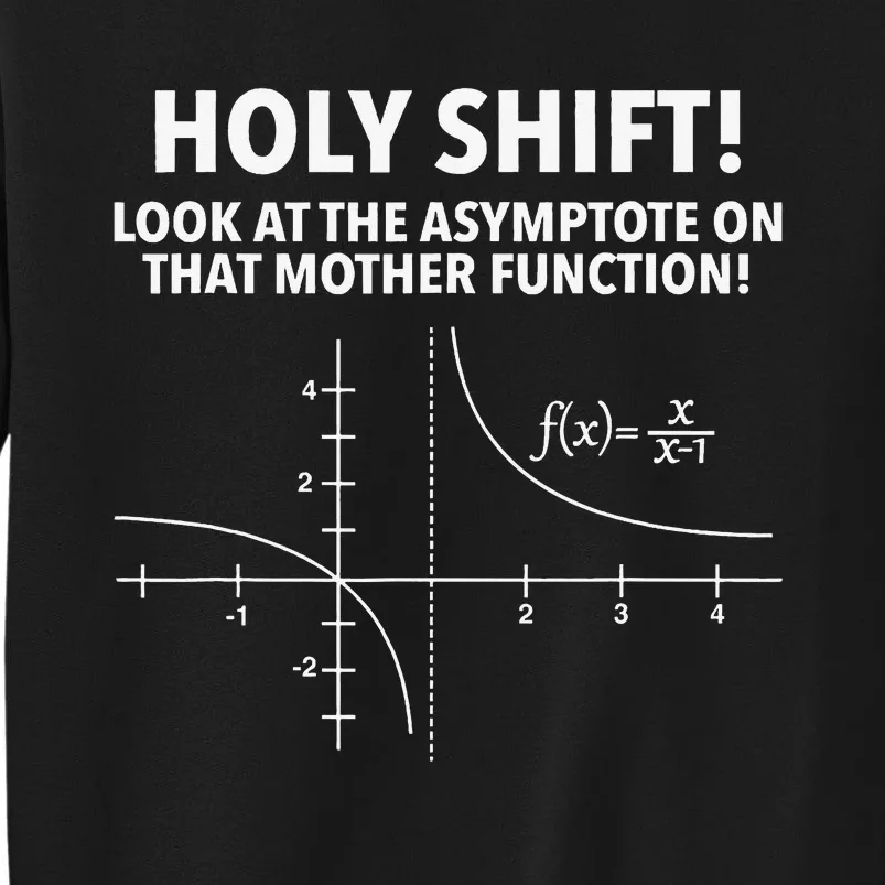 Holy Shift Look At Asymptote On That Mother Function Tall Sweatshirt