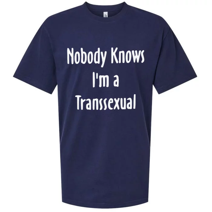 Hunter Schafer Nobody Knows I’M A Transsexual Sueded Cloud Jersey T-Shirt