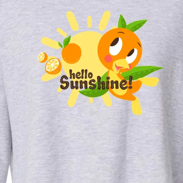 Hello Sunshine! Orange Bird (White Background) Cropped Pullover Crew