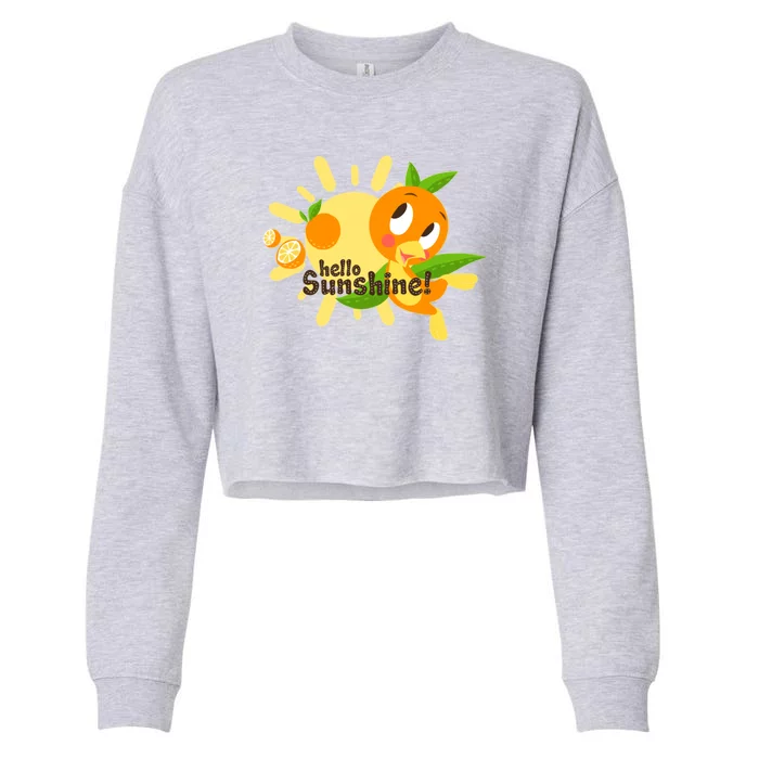 Hello Sunshine! Orange Bird (White Background) Cropped Pullover Crew