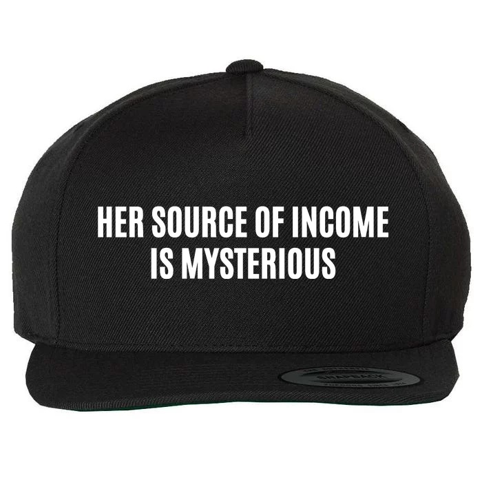 Her Source Of Income Is Mysterious Wool Snapback Cap