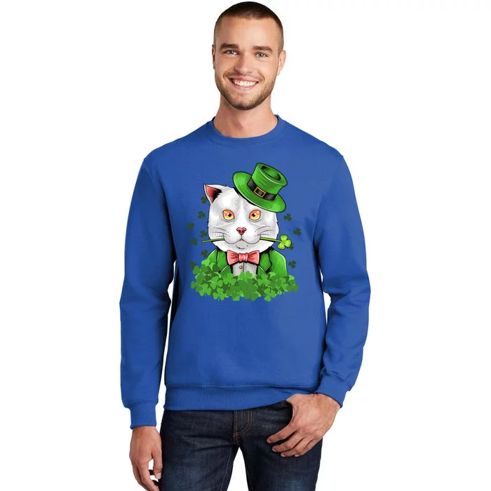 Happy St Patrick's Day St Patrick's Day Cat Luck Cute Gift Sweatshirt