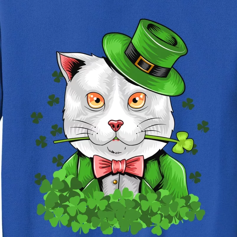 Happy St Patrick's Day St Patrick's Day Cat Luck Cute Gift Sweatshirt