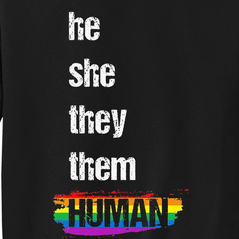 He She They Them Human LGBTQ Pride Rainbow Flag Pride Ally Sweatshirt