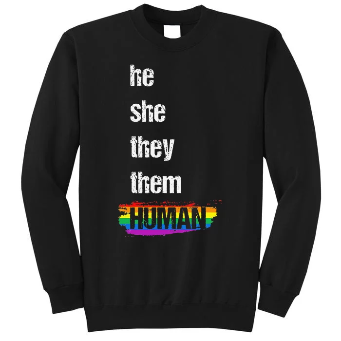 He She They Them Human LGBTQ Pride Rainbow Flag Pride Ally Sweatshirt