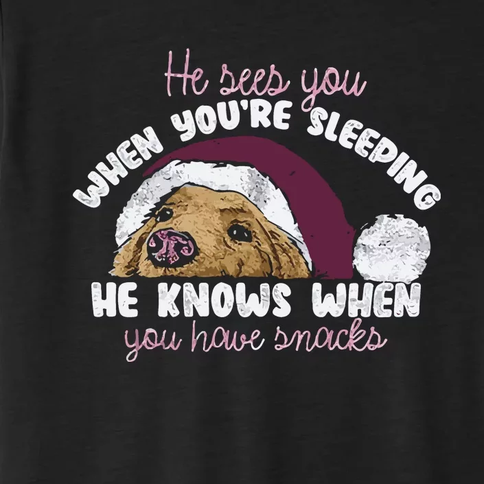 He Sees You When Youre Sleeping He Knows When You House Snacks ChromaSoft Performance T-Shirt