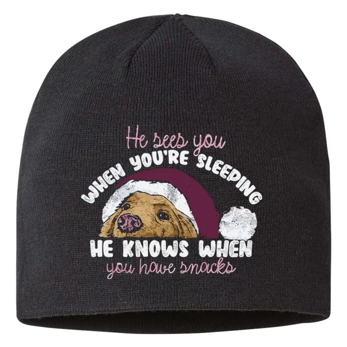 He Sees You When Youre Sleeping He Knows When You House Snacks 8 1/2in Sustainable Knit Beanie