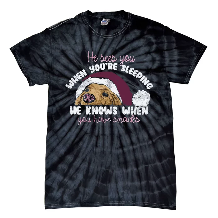 He Sees You When Youre Sleeping He Knows When You House Snacks Tie-Dye T-Shirt