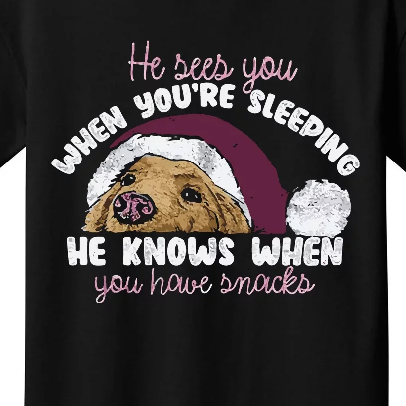 He Sees You When Youre Sleeping He Knows When You House Snacks Kids T-Shirt