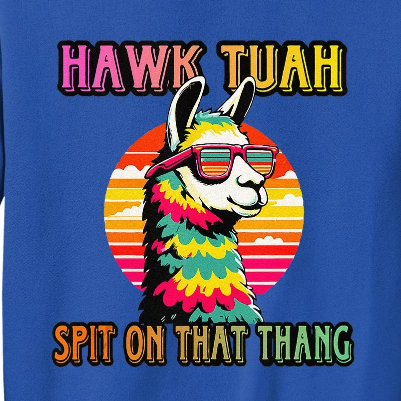 Hawk Tuah 24 Spit On That Thang Hawk Tuah 2024 Hawk Tush Sweatshirt