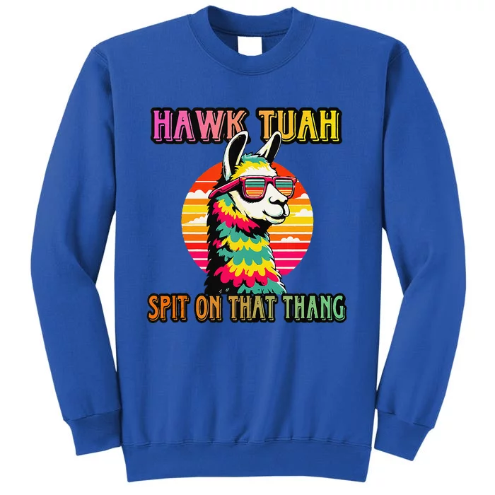 Hawk Tuah 24 Spit On That Thang Hawk Tuah 2024 Hawk Tush Sweatshirt