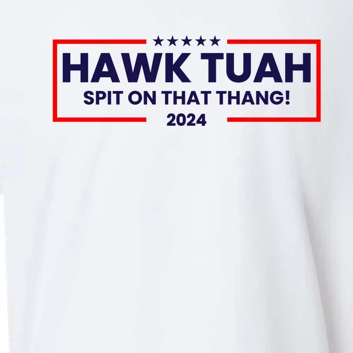 Hawk Tuah 24 Spit On That Thang Funny Saying Sueded Cloud Jersey T-Shirt