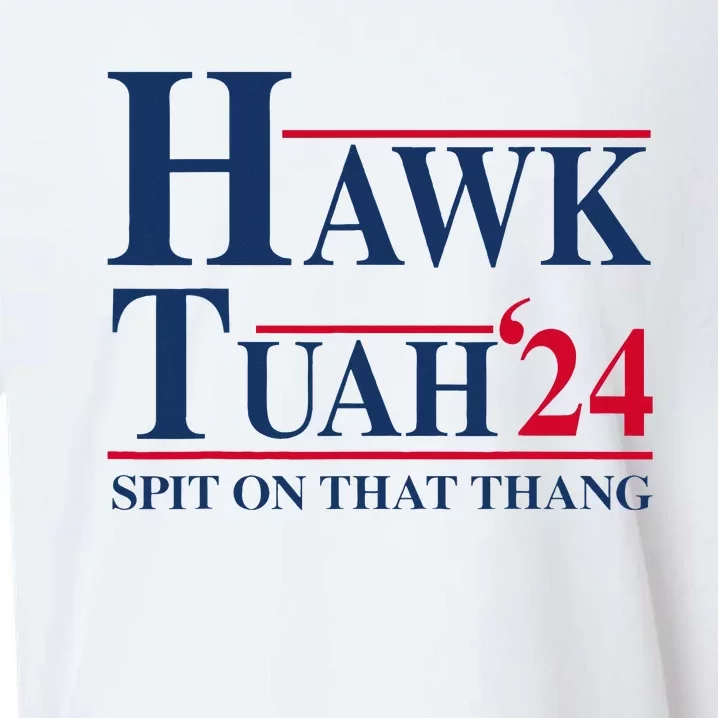 Hawk Tuah 24 Spit On That Thang Sueded Cloud Jersey T-Shirt