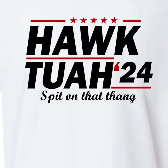 Hawk Tuah 24 Spit On That Thang Funny Saying Sueded Cloud Jersey T-Shirt