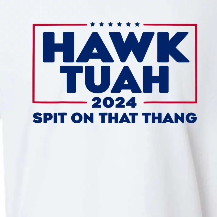 Hawk Tuah 24 Spit On That Thang Funny Saying Sueded Cloud Jersey T-Shirt