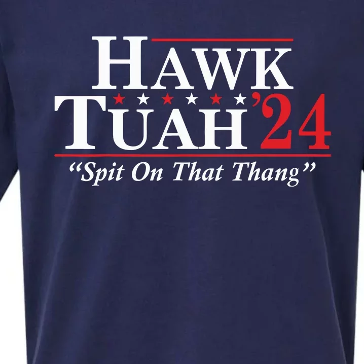 Hawk Tuah 24 Spit On That Thang Sueded Cloud Jersey T-Shirt