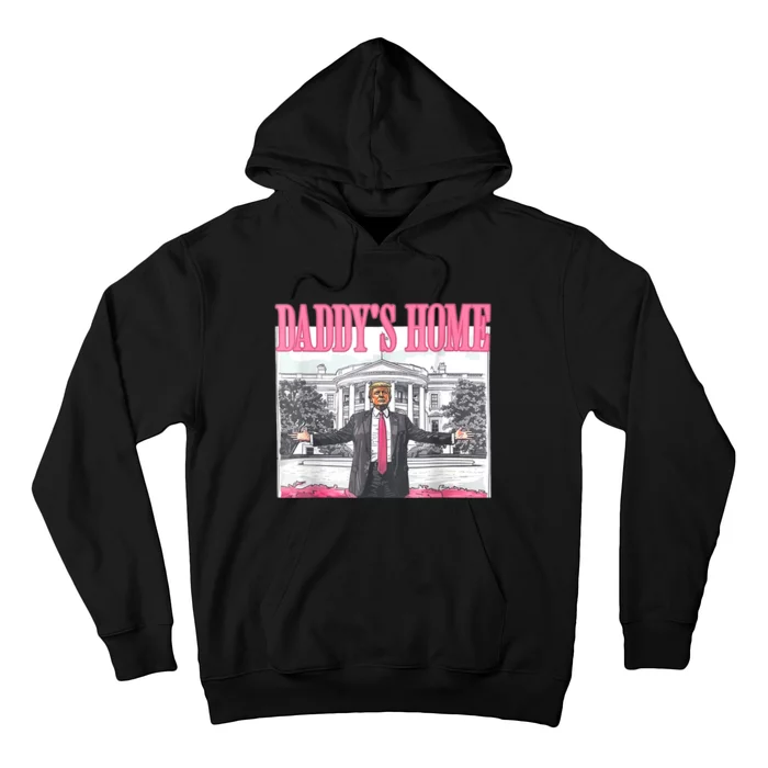 Home Trump 2024 Take America Back Daddys Trump Won 2024 Gift Hoodie