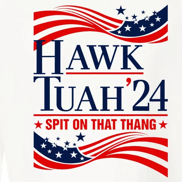 Hawk Tauh 24 Spit On That Thang Usa Flag Meme Quote Cropped Pullover Crew