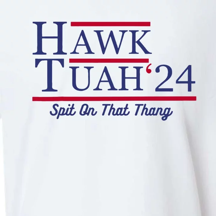 Hawk Tuah 24 Spit On That Thang Sueded Cloud Jersey T-Shirt