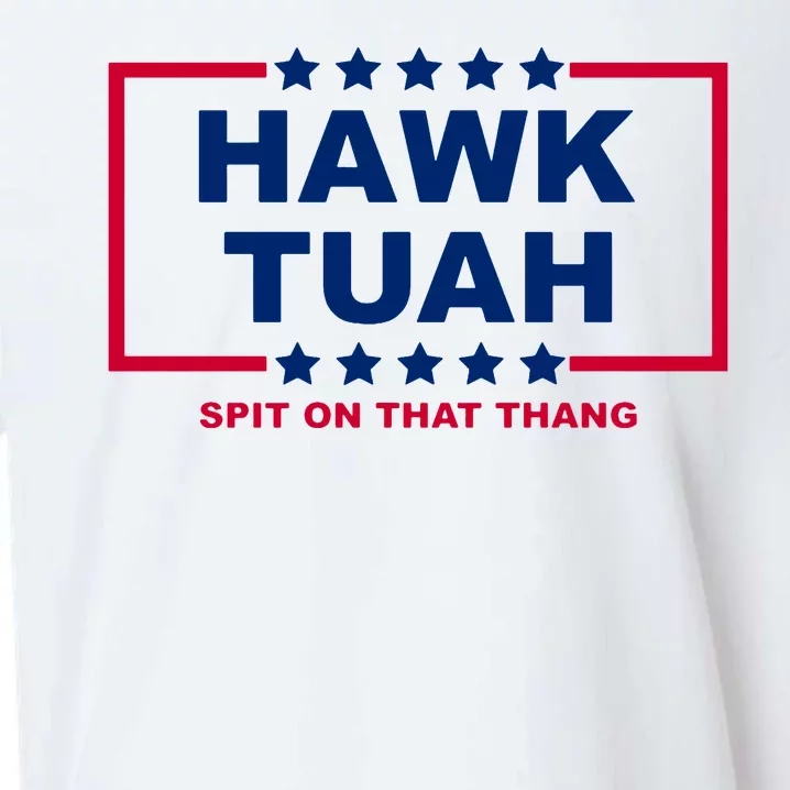 Hawk Tuah 24 Funny Spit On That Thang Utah Girl Sueded Cloud Jersey T-Shirt