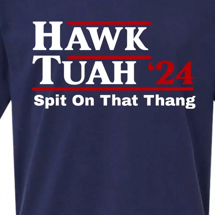 Hawk Tuah 24 Spit On That Thang Funny Saying Sueded Cloud Jersey T-Shirt