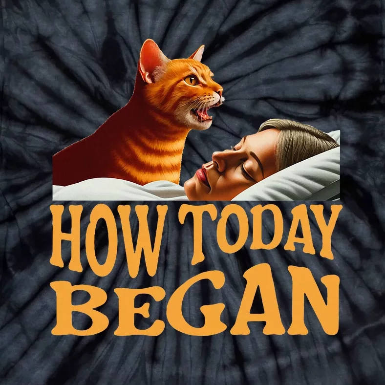 How Today Began Cat Woke Me Early Again Cat Alarm Tie-Dye T-Shirt