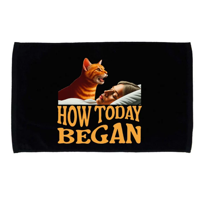 How Today Began Cat Woke Me Early Again Cat Alarm Microfiber Hand Towel