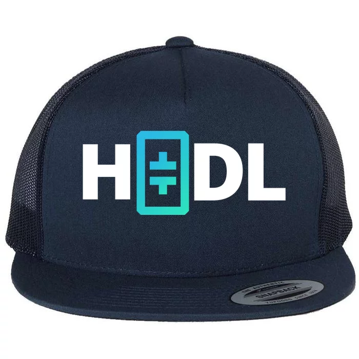 HODL Theta Crypto, Theta Logo, DeFi Theta Crypto, HODL Theta Flat Bill Trucker Hat