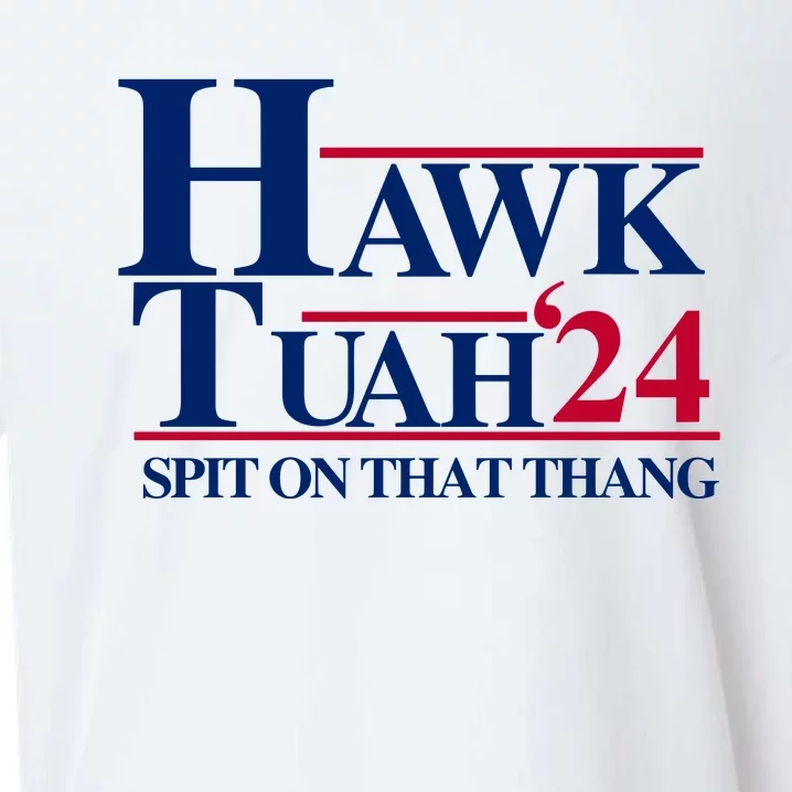 Hawk Tuah Funny Saying Sueded Cloud Jersey T-Shirt