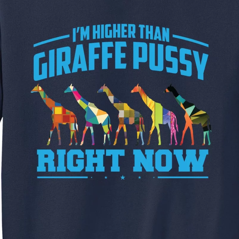 Higher Than Giraffe Pussy | Funny Marijuana Sayings Gift Sweatshirt