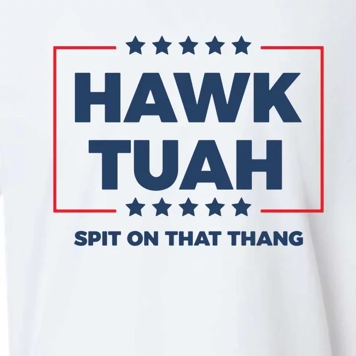 Hawk Tuah Hawk Tuah 2024 Spit On That Hang Sueded Cloud Jersey T-Shirt