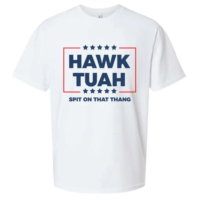 Hawk Tuah Hawk Tuah 2024 Spit On That Hang Sueded Cloud Jersey T-Shirt