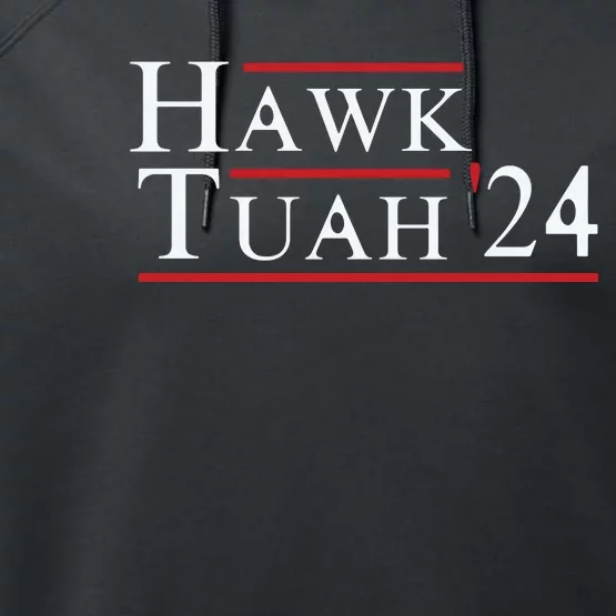 Hawk Tuah Hawk Tuah 24 Spit On That Thang Performance Fleece Hoodie