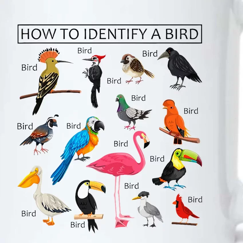 How To Identify A Bird Birds Lover Nature Birdwatcher Black Color Changing Mug