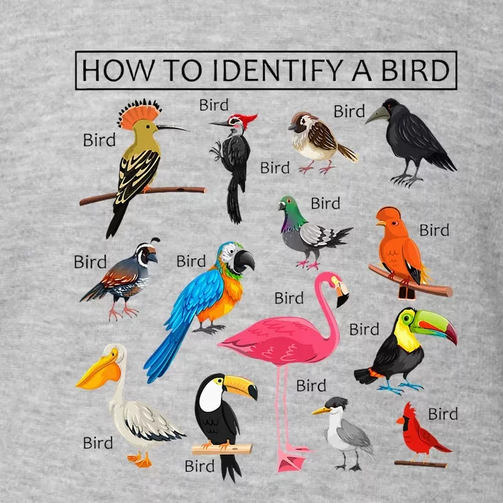 How To Identify A Bird Birds Lover Nature Birdwatcher Toddler Sweatshirt