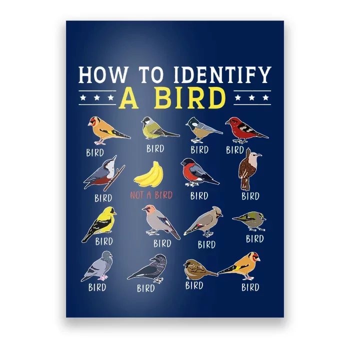 How To Identify A Bird Bird Watcher Bird Lover Poster