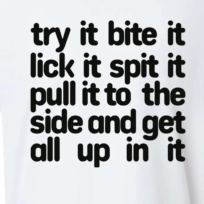 Hard222soft Try It Bite It Lick It Spit It Pull It To The Side And Get All Up In Sueded Cloud Jersey T-Shirt