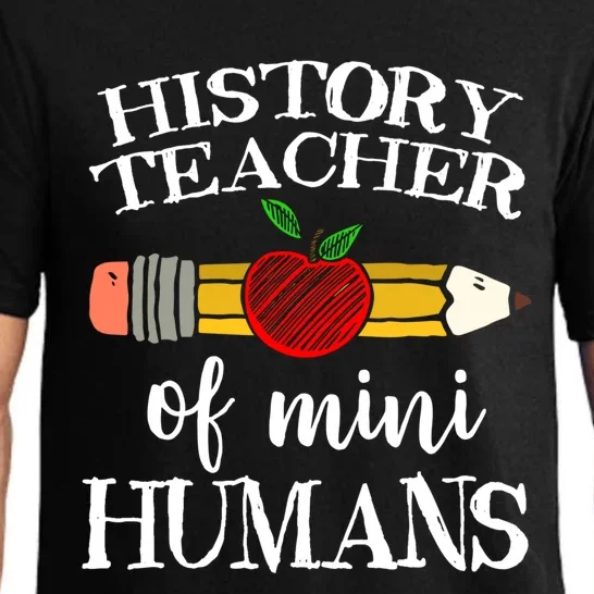 History Teacher Of Mini Hu Team Funny Gift Pajama Set