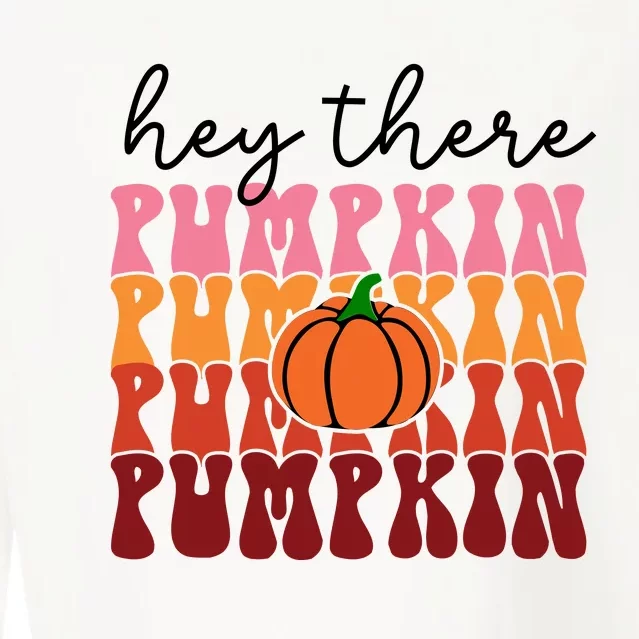 Hey There Pumpkin Cropped Pullover Crew