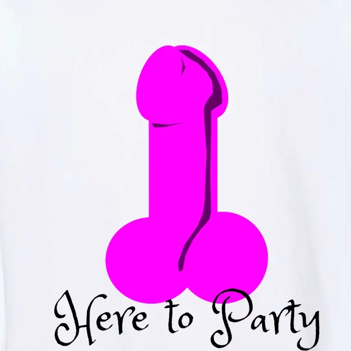 Here To Party Dick Dirty Funny Adult Sex Joke Gift Idea Garment-Dyed Sweatshirt