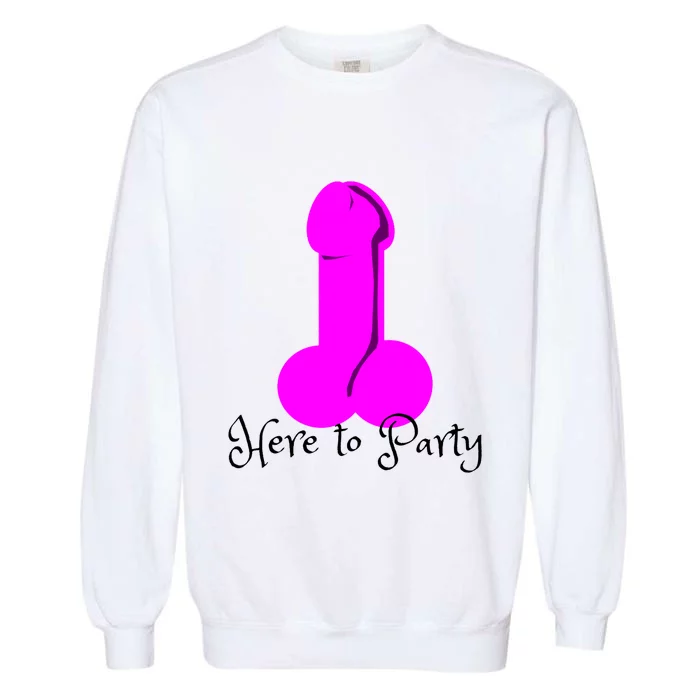 Here To Party Dick Dirty Funny Adult Sex Joke Gift Idea Garment-Dyed Sweatshirt