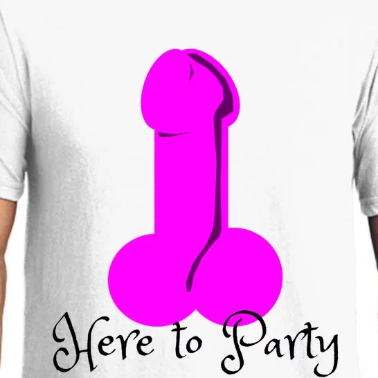 Here To Party Dick Dirty Funny Adult Sex Joke Gift Idea Pajama Set