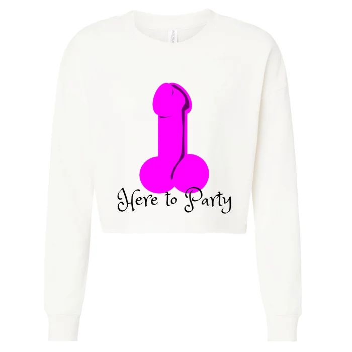 Here To Party Dick Dirty Funny Adult Sex Joke Gift Idea Cropped Pullover Crew