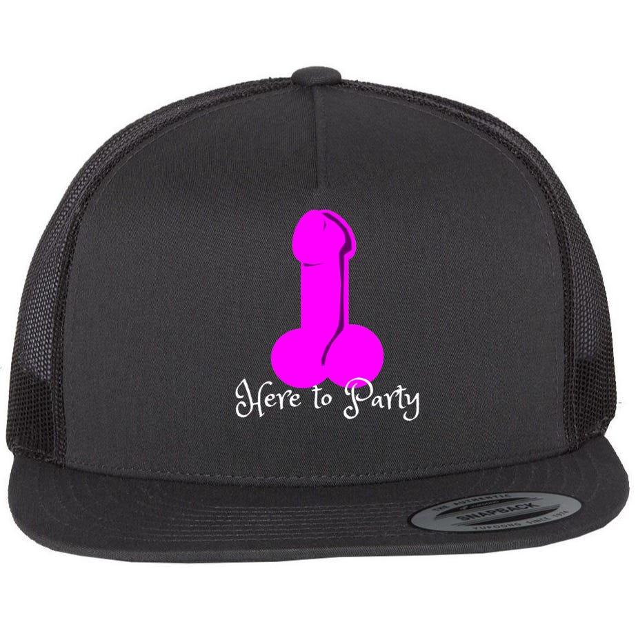 Here To Party Dick Dirty Talk Funny Adult Sex Joke Gift Idea Flat Bill Trucker Hat TeeShirtPalace