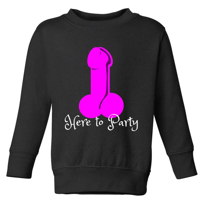 Here To Party Dick Dirty Talk Funny Adult Sex Joke Gift Idea Toddler Sweatshirt