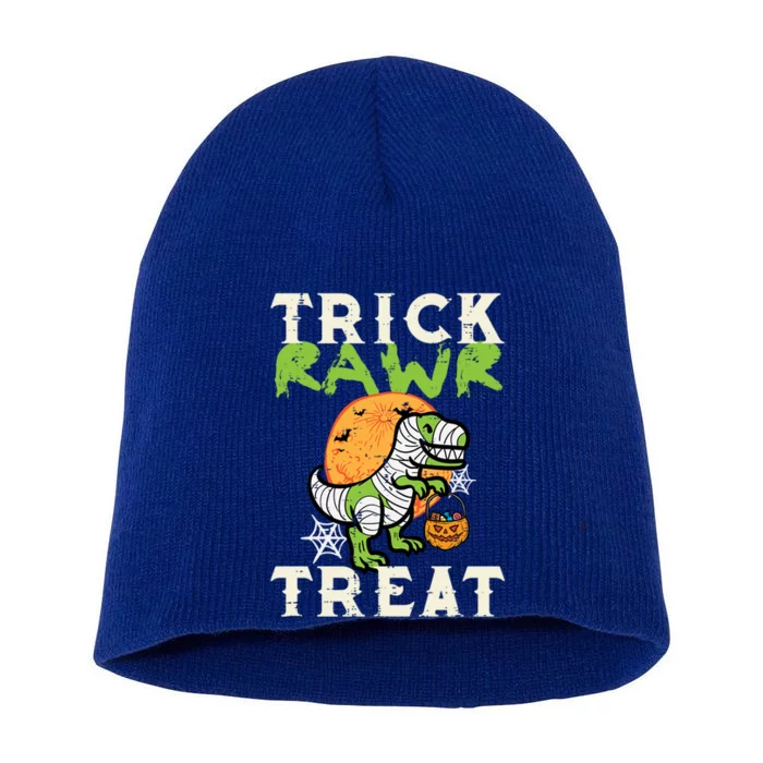 Halloween Trick Rawr Treat Dino Trex Costume Cool Gift Short Acrylic Beanie