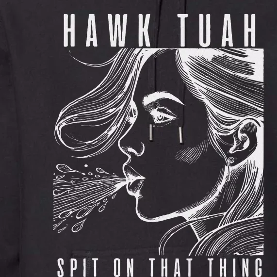 Hawk Tuah Spit On That Thing Funny Viral Interview Girl Premium Hoodie