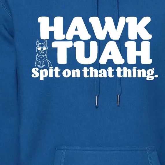 Hawk Tuah Spit On That Thang Premium Hoodie